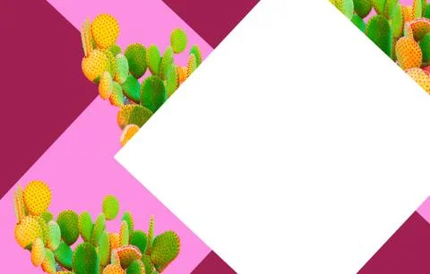 Opuntia cactus. Creative layout. Minimal style still life. Stock Photos