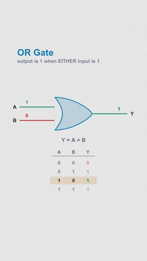 OR Gate Labeled Logic Gate Truth Table Animation Alpha 4K Vertical 9x16 Light Stock Footage 339529313