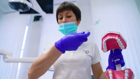 Oral hygiene on a teeth model. Stock Footage 152034727