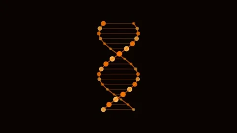 Orang DNA Double Helix Rotate Medical Animation Loop 動画素材 342610792