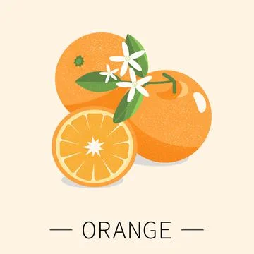 Orang fruit Stock Illustration