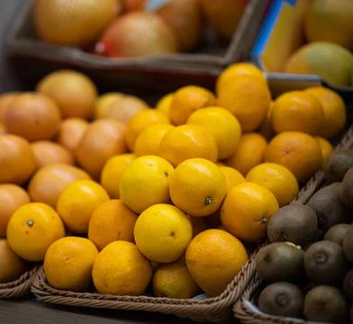 ORANGE 02 스톡 사진