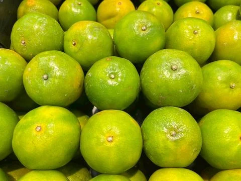 Orange-1 Stock Photos