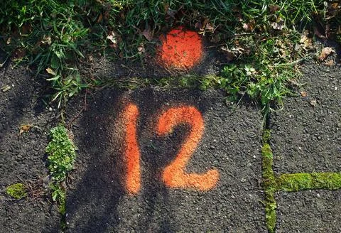 Orange 12 Stock Photos