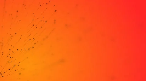 Orange abstract background with black beams. Stock-Footage 68442463