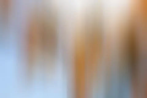 Orange abstract background blurred line objects Stock Illustration