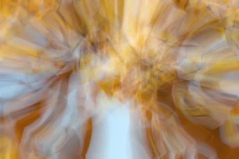 Orange abstract background blurred round objects Stock Illustration