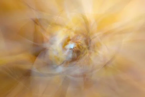 Orange abstract background blurred round objects Stock Photos
