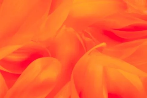 Orange abstract background Stock Photos