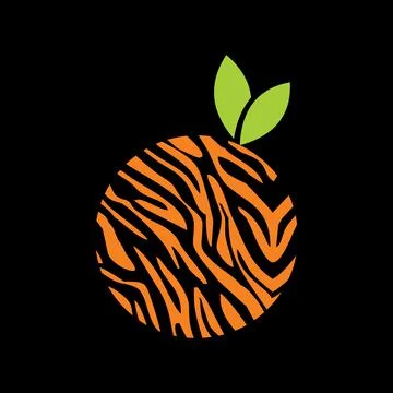 Orange abstract logo vector designs Stock Illustration