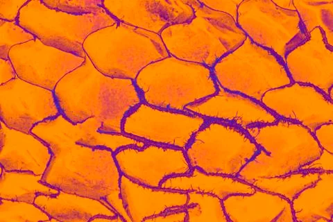 Orange abstract texture background, abstract canvas, orange pattern, diagonal Stock Photos