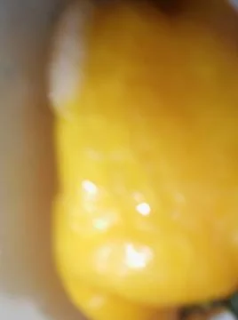 Orange abstract wallpaper with different elements Stock Photos