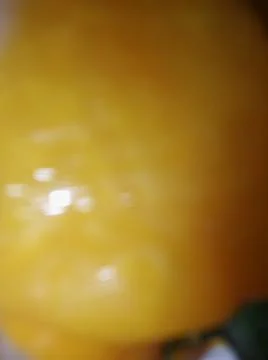 Orange abstract wallpaper with different elements Stock Photos