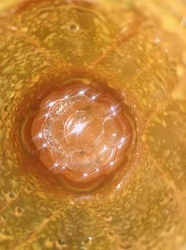 Orange abstract wallpaper with different elements Stock Photos