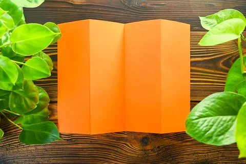 An orange accordion-folded paper on a rustic dark wooden background framed .. Stock Photos