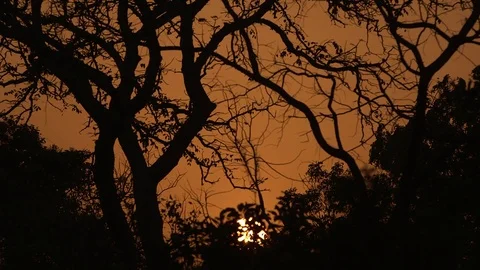 Orange African Sunset Video stock 74361791