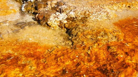 Orange Algae and Bacterial Pool With Hot Water Flowing Over It (Yellowstone) Stock Footage 128035363