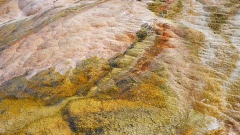 Orange Algae and Bacterial Pool With Hot Water Flowing Over It (Yellowstone) Stock Footage 128035956