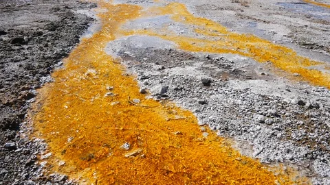 Orange Algae and Bacterial Pool With Hot Water Flowing Over It (Yellowstone) Stock Footage 128036009