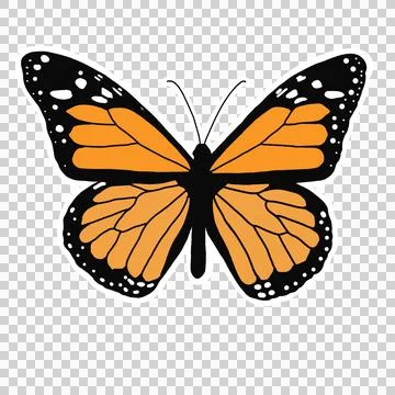 Orange and Black Butterfly, Pond5 Exclusive Stock Illustration