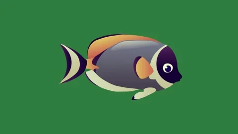 An orange and black fish on a green background isolated isolated on green Stock-Footage 336890108