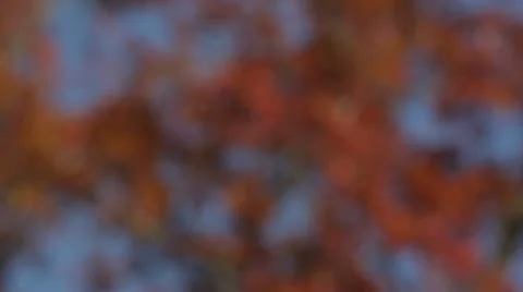 Orange and Blue Colored Blurry Motion Background Stock Footage 12687392