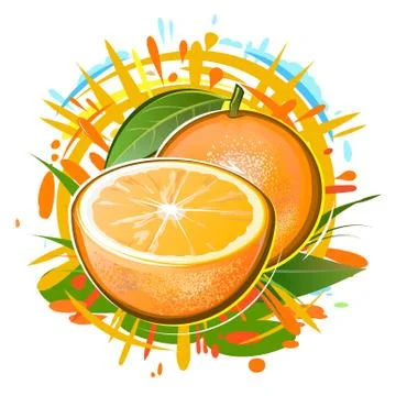 Orange and half a fruit. Isolated vector on white background. Summer citrus Stock Illustration