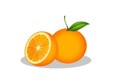 Orange and half orange fruit vector illustration isolated on white background Stock Illustration