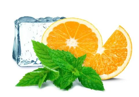 Orange and ice cubes Stock Photos