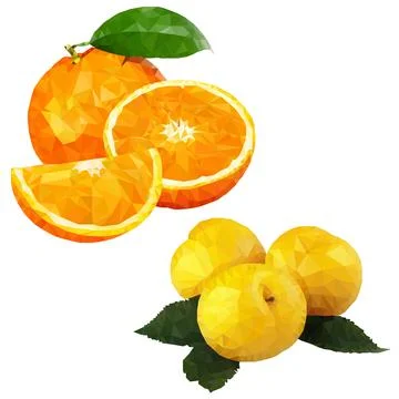 Orange and plum Illustrazione stock
