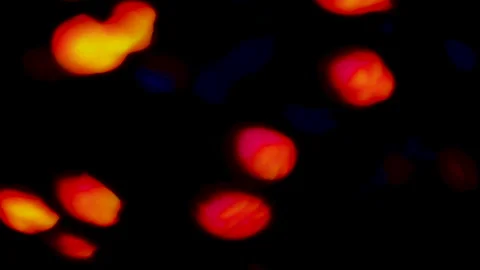 Orange and Red fire bokeh orbs against black background Stock Footage 280217619