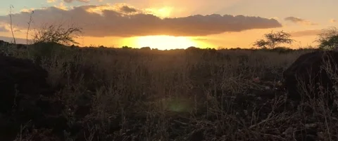 Orange and Red Sunset in Dry Field Hike on Maui 4k 動画素材 158657377