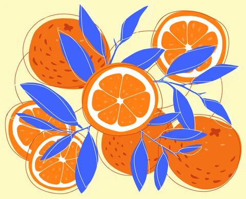 Orange and slice doodle hand drawn illustration Stock-Illustration