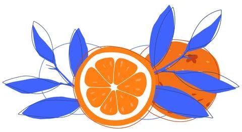 Orange and slice doodle hand drawn illustration Stock Illustration