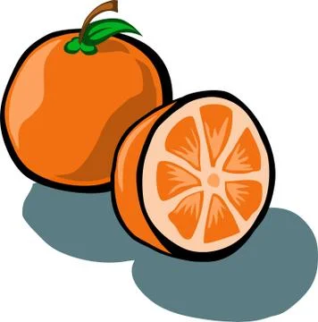 Orange and Slice Illustrazione stock