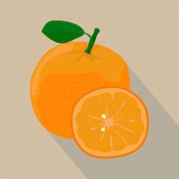 Orange and slices isolated flat style, vector illustration. Stock Illustration