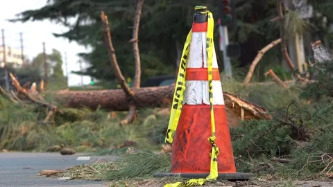 Orange and white corn with yellow caution tape Stock Footage 309409909