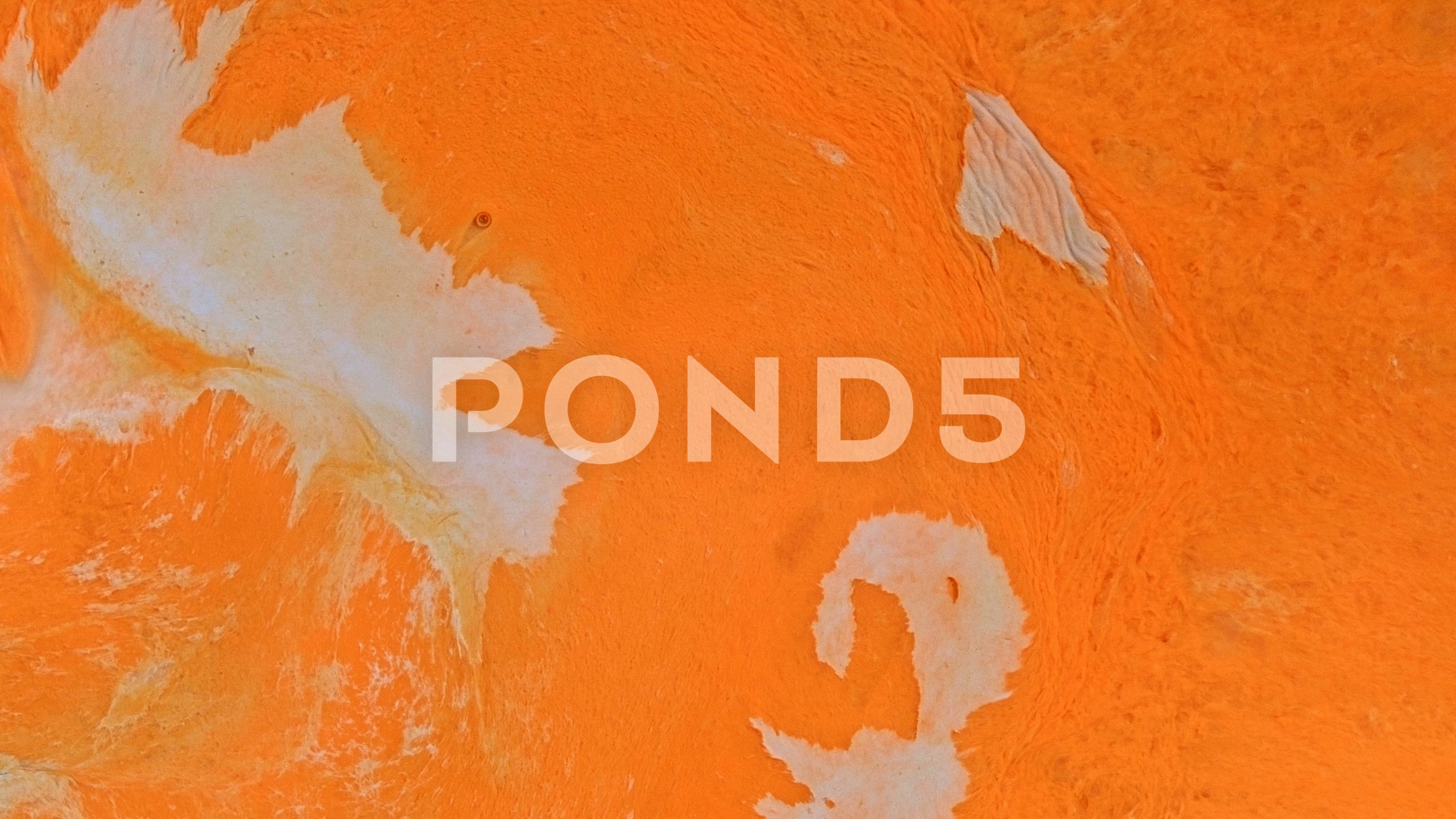 Orange And White Creamsicle Skin 6 Vibrant Bright Paint Oil Orange And White Creamsicle Skin 6 Vibrant Bright Paint Oil Color Swirls Footage 81832788