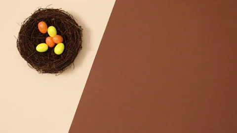 Orange and yellow Easter eggs appear in nest . Stop motion Vídeo Stock 150283839