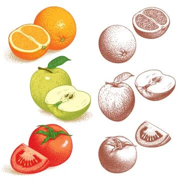 Orange, apple, tomato 库存插图