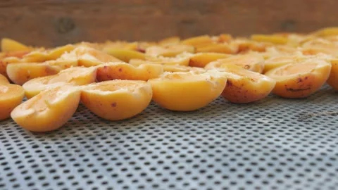 Orange apricots undergo the process of drying and harvesting for the winter Video stock 220212275