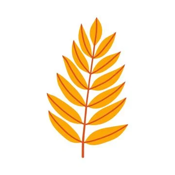 Orange ash leaf branch isolated on white background. Simple autumn fall leaf for イラスト素材