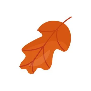 Orange autumn leaf on a white background. Vector illustration Stock Illustration