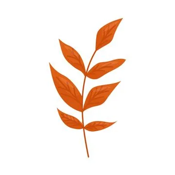 Orange autumn leaf on a white background. Vector illustration Stock Illustration