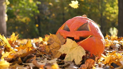 Orange autumn maple leaves fall in slow motion on a carved pumpkin or pumpkin Stock Footage 157152886
