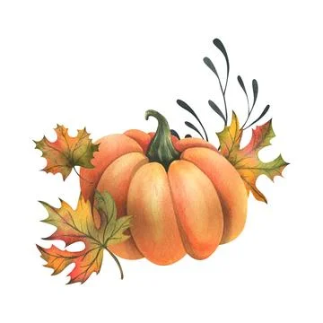 Orange autumn pumpkins with maple leaves and twigs. Watercolor illustration Иллюстрация