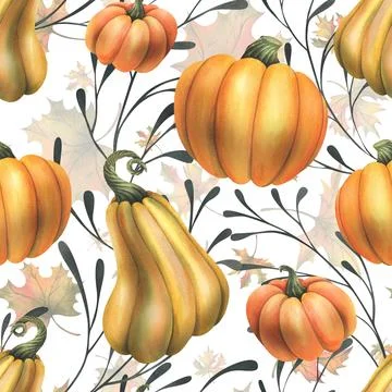 Orange autumn pumpkins with maple leaves and branches. Watercolor illustration Stock Illustration