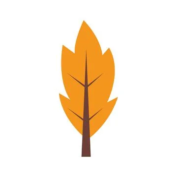 Orange autumn tree foliage. Vector 스톡 일러스트