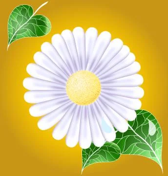 Orange backgrond with white camomile Stock Illustration