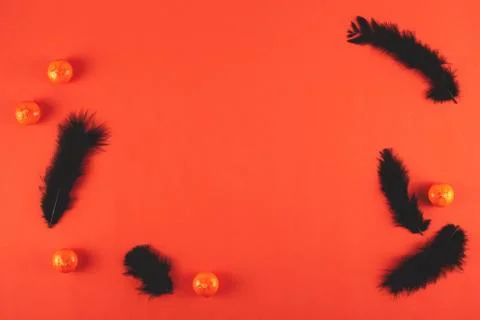 Orange background with feathers and mini pumpkins. Halloween Stock Photos
